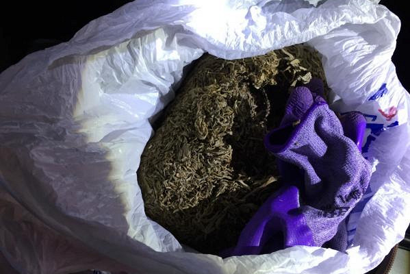 <br />
В Красноуфимске инспекторы ГИБДД задержали автомобилиста с рюкзаком марихуаны<br />

