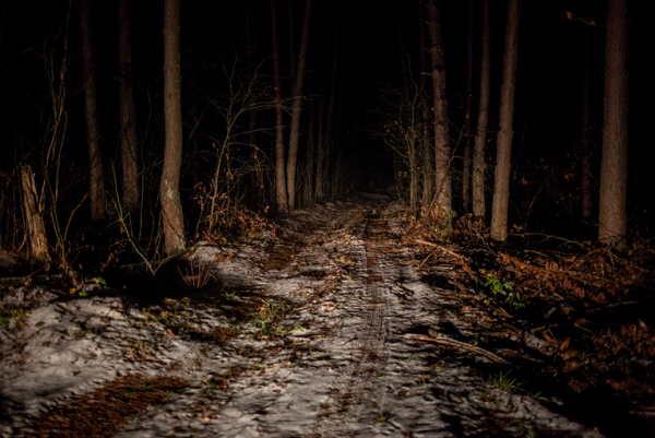 Ожоги, изнасилования и пытки. Как белорусская милиция безнаказанно истязает людей